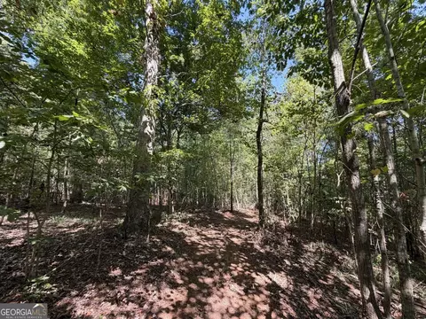 11 Bunch Rd, Tignall, GA 30668 photo 25
