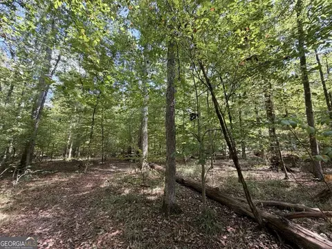 11 Bunch Rd, Tignall, GA 30668 photo 66