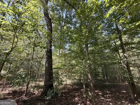11 Bunch Rd, Tignall, GA 30668 photo 49