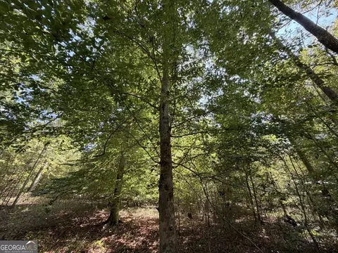 11 Bunch Rd, Tignall, GA 30668 photo 53