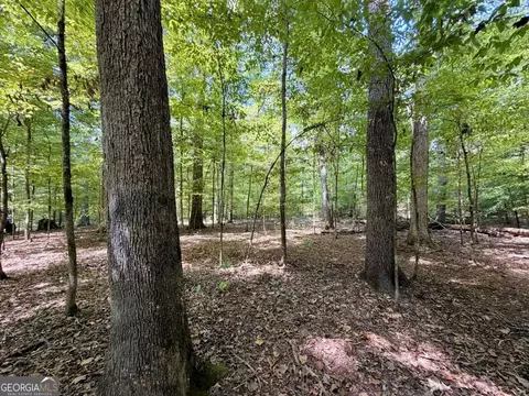 11 Bunch Rd, Tignall, GA 30668 photo 4