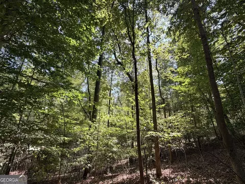 11 Bunch Rd, Tignall, GA 30668 photo 29
