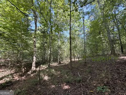 11 Bunch Rd, Tignall, GA 30668 photo 33