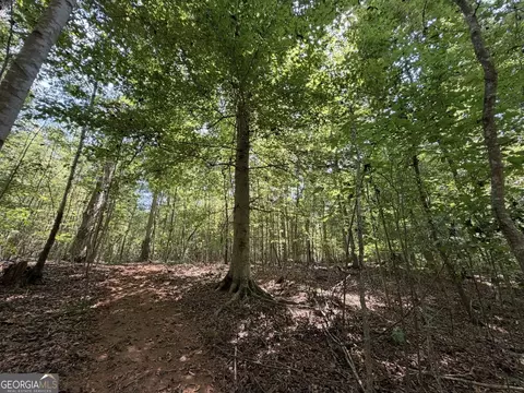 11 Bunch Rd, Tignall, GA 30668 photo 34