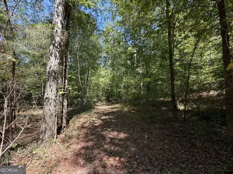 11 Bunch Rd, Tignall, GA 30668 photo 51