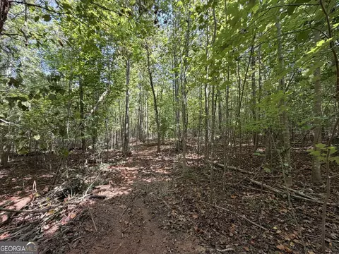 11 Bunch Rd, Tignall, GA 30668 photo 40