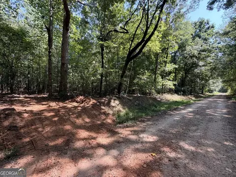 11 Bunch Rd, Tignall, GA 30668 photo 17