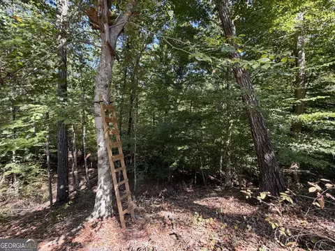 11 Bunch Rd, Tignall, GA 30668 photo 58