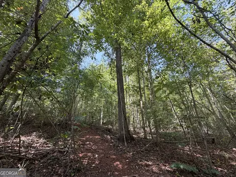 11 Bunch Rd, Tignall, GA 30668 photo 32