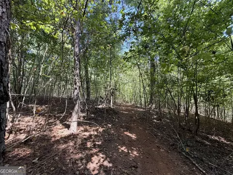 11 Bunch Rd, Tignall, GA 30668 photo 23