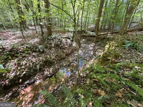 11 Bunch Rd, Tignall, GA 30668 photo 3
