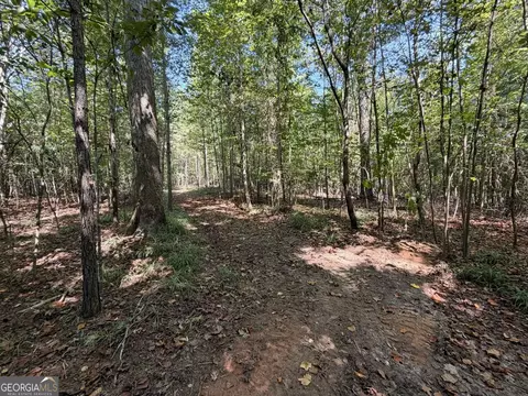 11 Bunch Rd, Tignall, GA 30668 photo 21