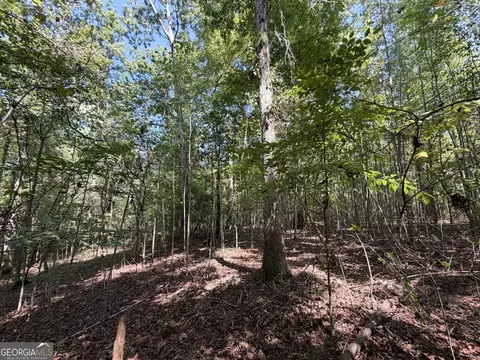 11 Bunch Rd, Tignall, GA 30668 photo 35