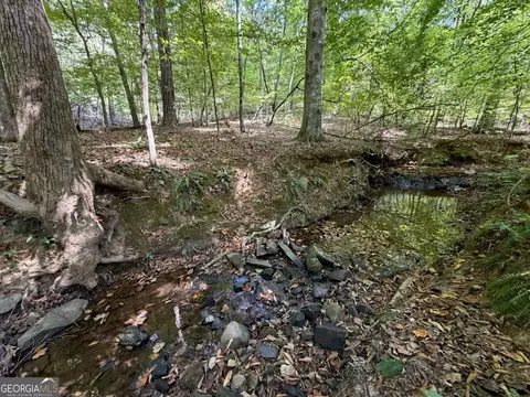 11 Bunch Rd, Tignall, GA 30668 photo 72