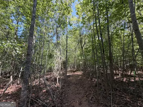 11 Bunch Rd, Tignall, GA 30668 photo 37