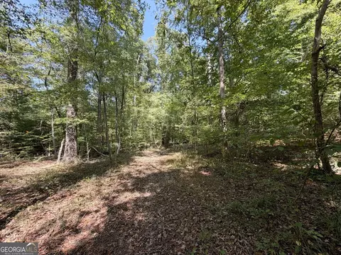 11 Bunch Rd, Tignall, GA 30668 photo 52