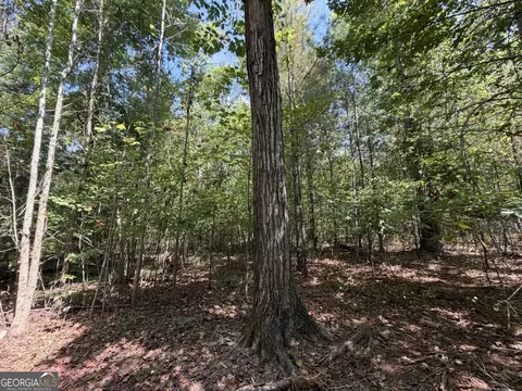 11 Bunch Rd, Tignall, GA 30668 photo 47