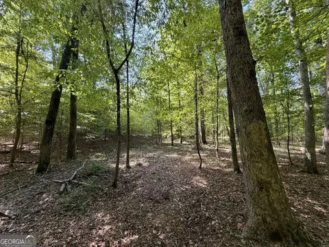 11 Bunch Rd, Tignall, GA 30668 photo 68