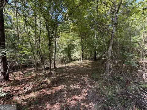 11 Bunch Rd, Tignall, GA 30668 photo 48