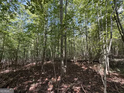 11 Bunch Rd, Tignall, GA 30668 photo 42