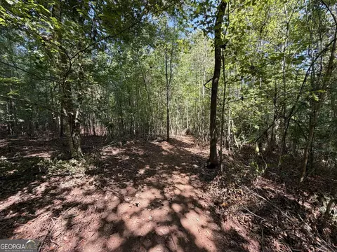 11 Bunch Rd, Tignall, GA 30668 photo 26