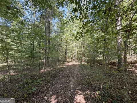 11 Bunch Rd, Tignall, GA 30668 photo 50
