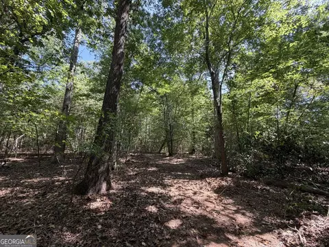 11 Bunch Rd, Tignall, GA 30668 photo 20