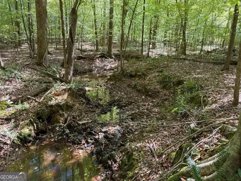 11 Bunch Rd, Tignall, GA 30668 photo 79