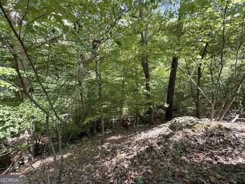 11 Bunch Rd, Tignall, GA 30668 photo 59