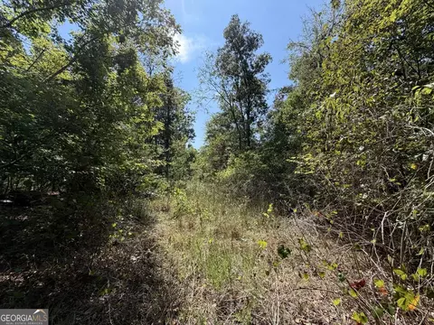 11 Bunch Rd, Tignall, GA 30668 photo 62