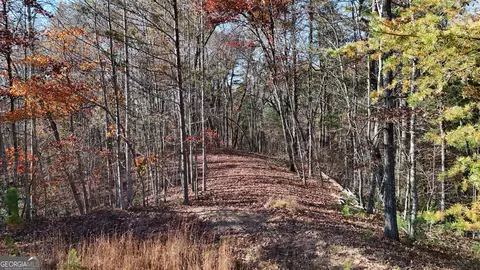 lot197 Springwinds Dr, Cleveland, GA 30528