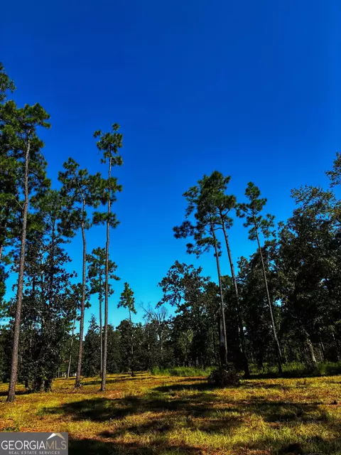 490 Murray Rd, Bainbridge, GA 39819 photo 3