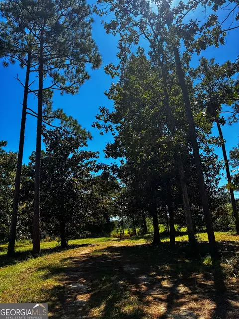490 Murray Rd, Bainbridge, GA 39819 photo 43