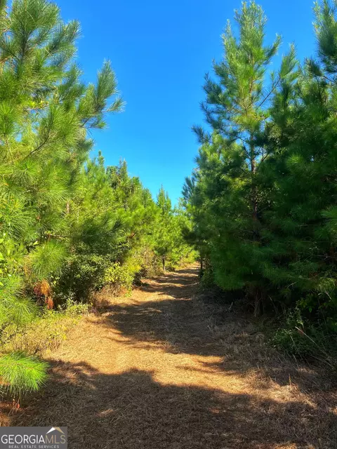 490 Murray Rd, Bainbridge, GA 39819 photo 29