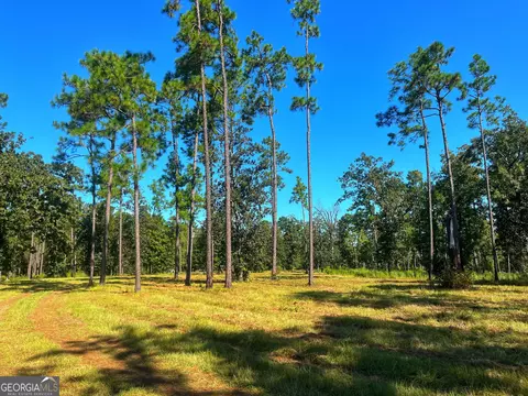 490 Murray Rd, Bainbridge, GA 39819 photo 4