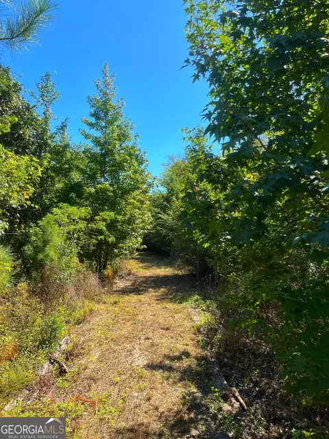 490 Murray Rd, Bainbridge, GA 39819 photo 48