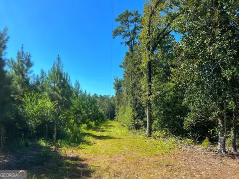 490 Murray Rd, Bainbridge, GA 39819 photo 31