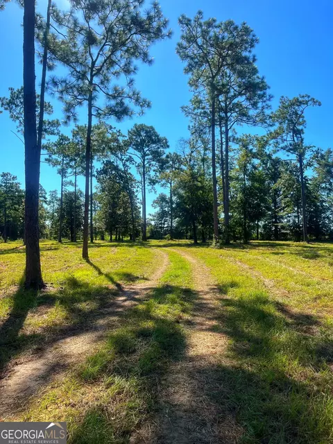 490 Murray Rd, Bainbridge, GA 39819 photo 9