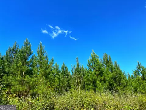490 Murray Rd, Bainbridge, GA 39819 photo 41