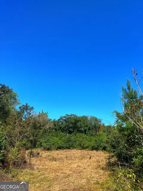 490 Murray Rd, Bainbridge, GA 39819 photo 35
