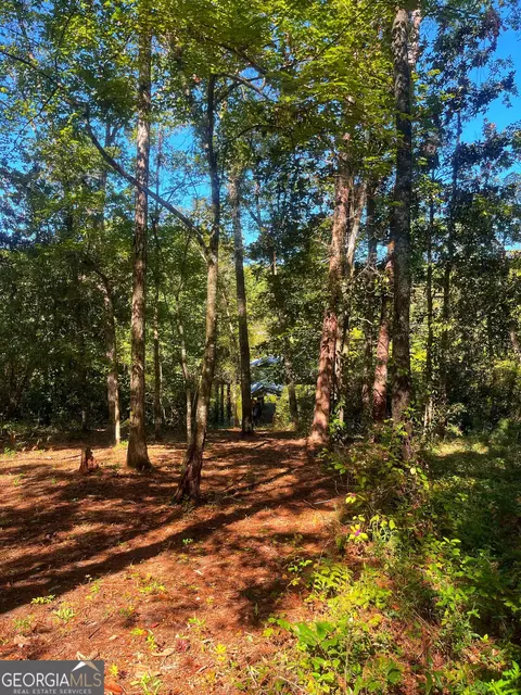 490 Murray Rd, Bainbridge, GA 39819 photo 13