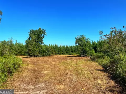 490 Murray Rd, Bainbridge, GA 39819 photo 30