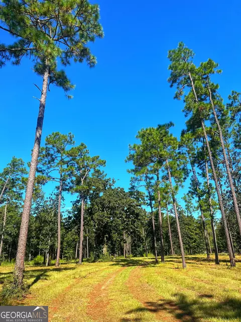 490 Murray Rd, Bainbridge, GA 39819 photo 5