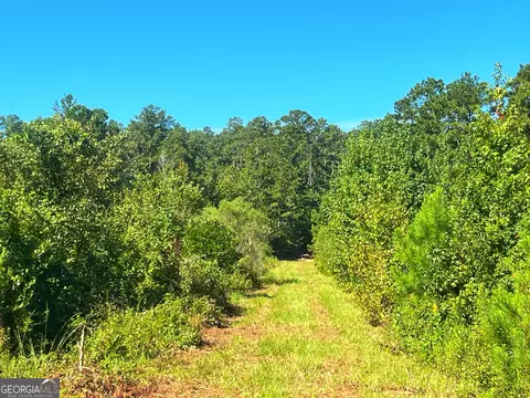 490 Murray Rd, Bainbridge, GA 39819 photo 33