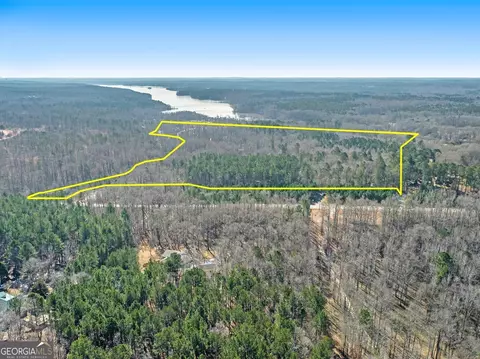 0 Hampton Locust Grove Rd, Hampton, GA 30228 photo 3