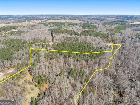 0 Hampton Locust Grove Rd, Hampton, GA 30228 photo 6
