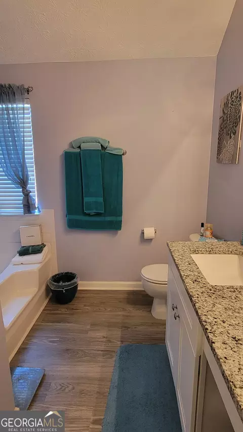 Bath - 1620 Amelia Ct, Hampton, GA 30228 photo 1 of 2