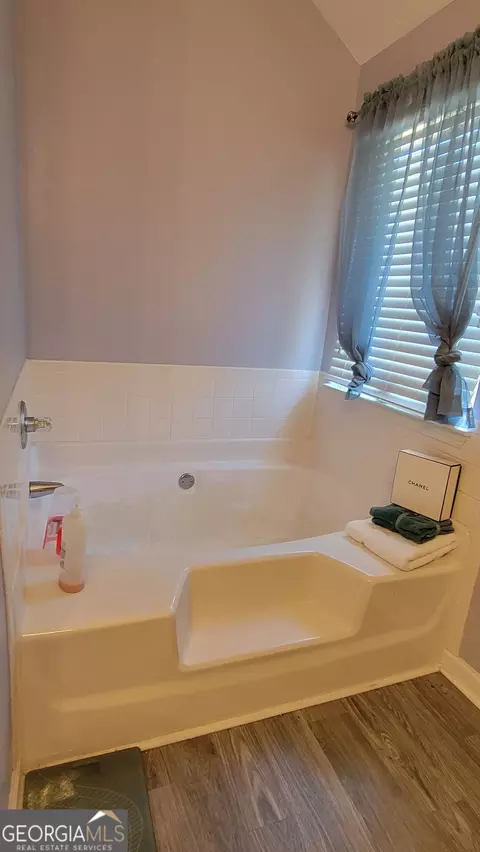 Bath - 1620 Amelia Ct, Hampton, GA 30228 photo 2 of 2