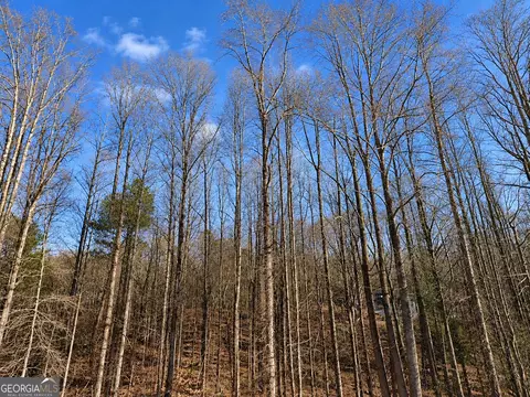 3 89 Acres Biscayne Pl, Gainesville, GA 30507 photo 4