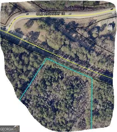 lot5 Ga Highway 16, Sharpsburg, GA 30277